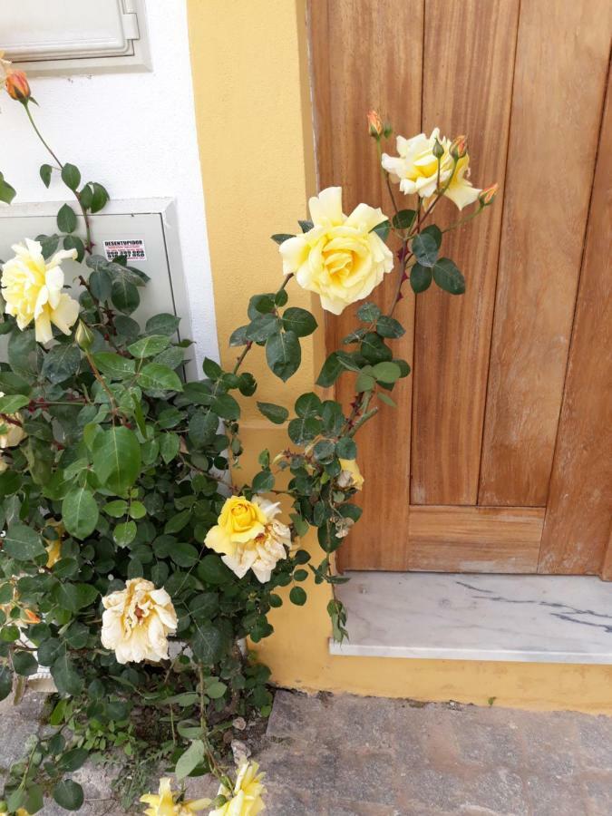 Appartamento Casa D'Avo Miranda do Corvo Esterno foto